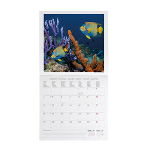 Legami - Calendario de Pared Under Sea 2027 - 30 x 29 cm