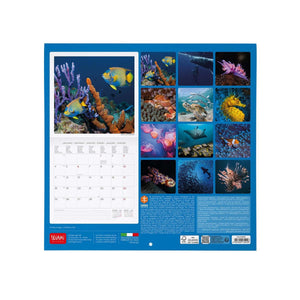 Legami - Calendario de Pared Under Sea 2027 - 30 x 29 cm