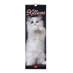 Legami - Calendario de Pared Kittens 2027 - 16 x 49 cm