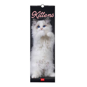 Legami - Calendario de Pared Kittens 2027 - 16 x 49 cm