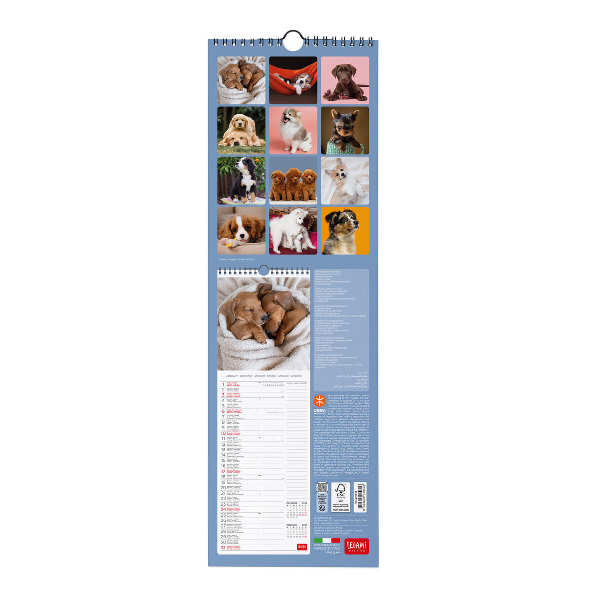 Legami - Calendario de Pared 2027 Perritos - 16 x 49 cm