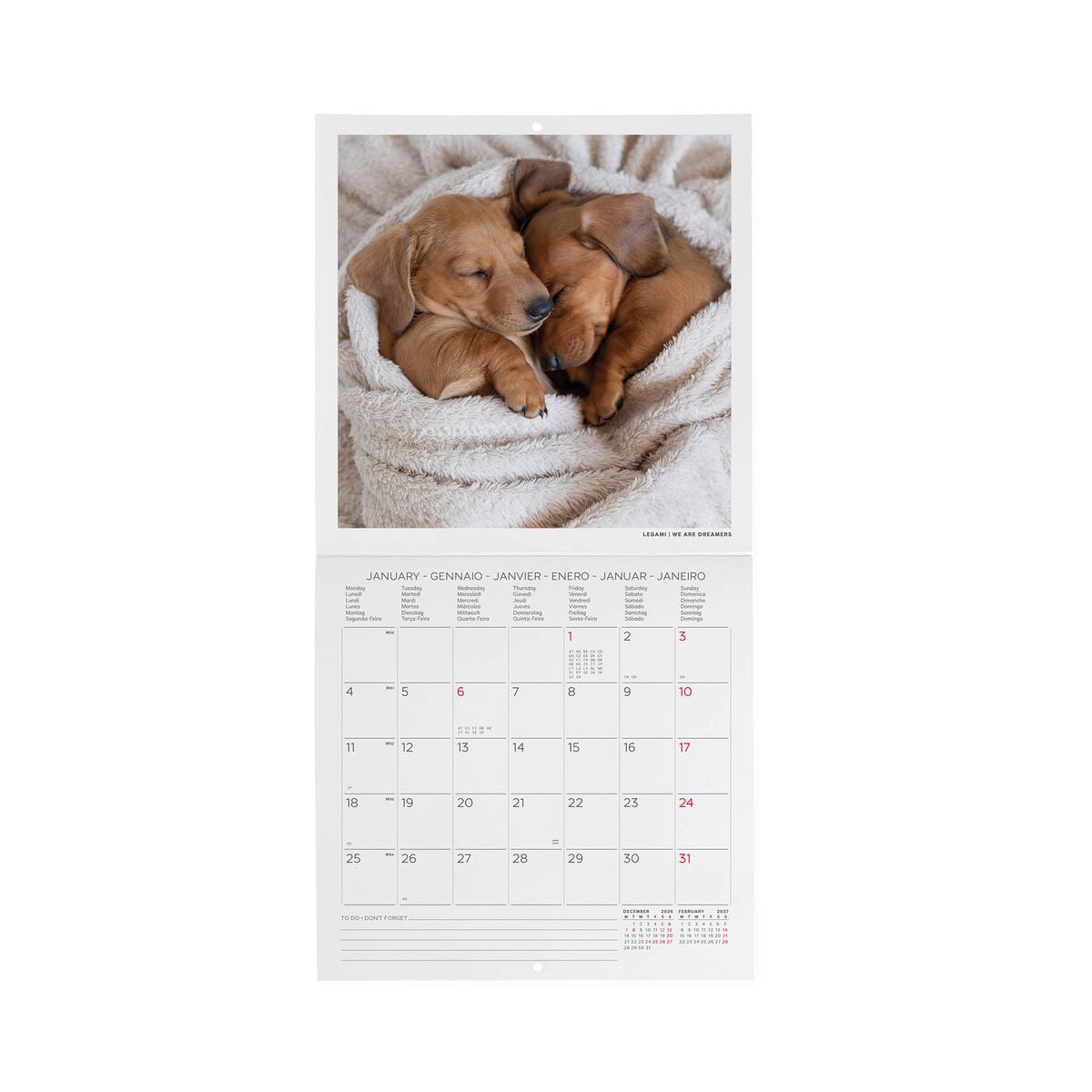 Legami - Calendario de pared 2027 Puppies - 18 x 18 cm