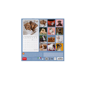 Legami - Calendario de pared 2027 Puppies - 18 x 18 cm