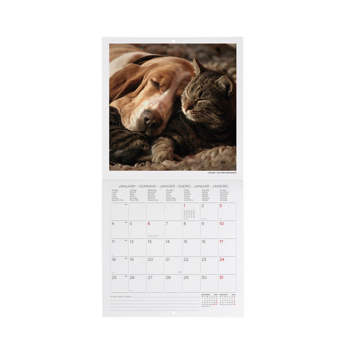 Legami - Calendario de Pared 2027 - 18 x 18 cm - Mejores Amigos