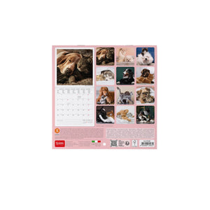 Legami - Calendario de Pared 2027 - 18 x 18 cm - Mejores Amigos