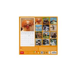 Legami - Calendario de pared Take It Easy 2027 - 18 x 18 cm