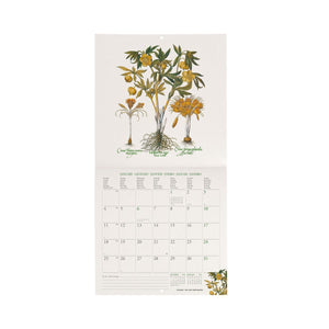 Legami - Calendario de pared Herbarium 2027 - 18 x 18 cm
