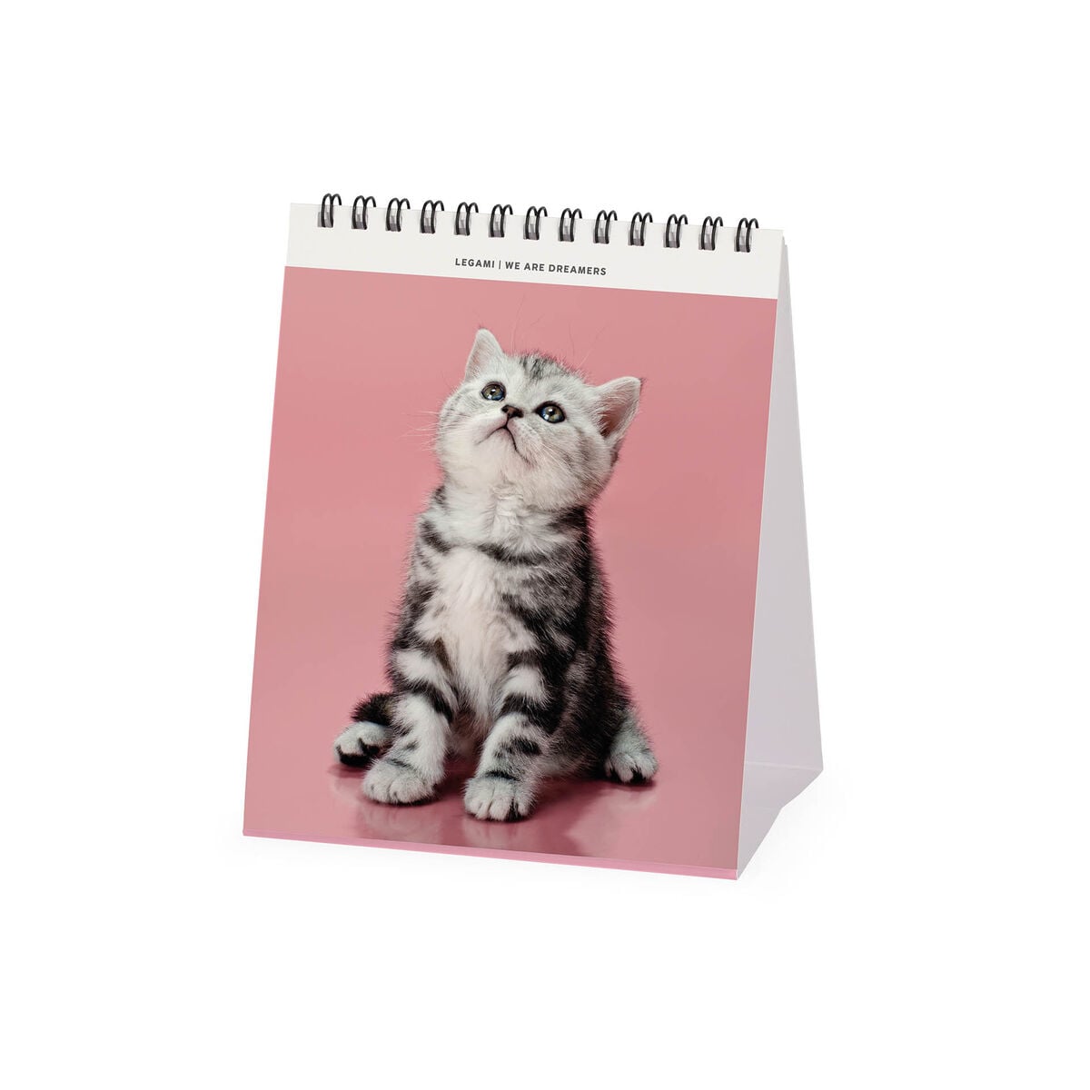 Legami - Calendario de escritorio Gatitos 2027 - 12 x 14,5 cm