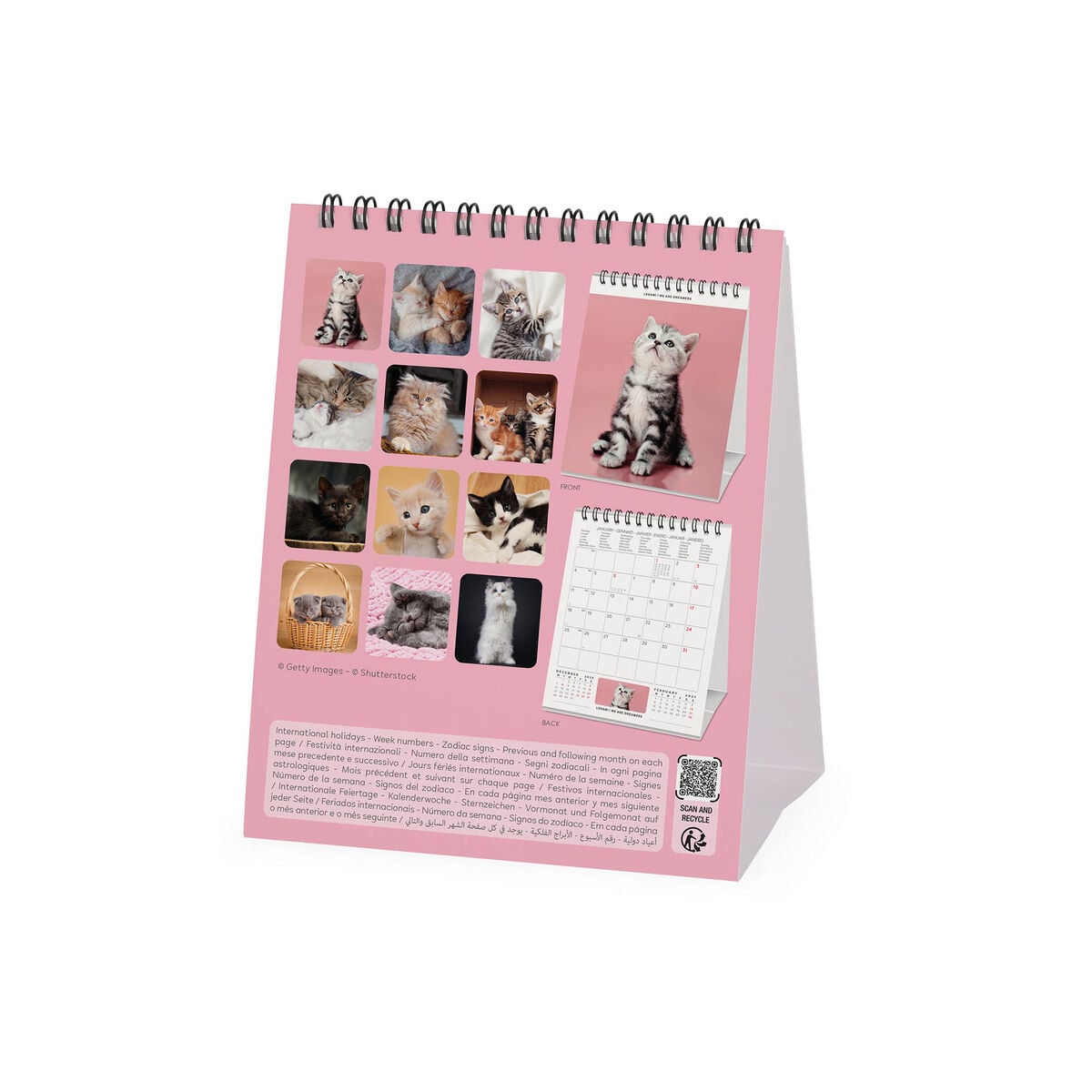 Legami - Calendario de escritorio Gatitos 2027 - 12 x 14,5 cm