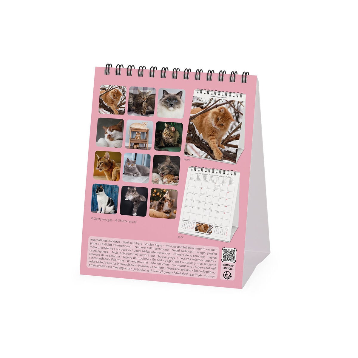 Legami - Cats 2027 Calendario de Mesa - 12 x 14,5 cm