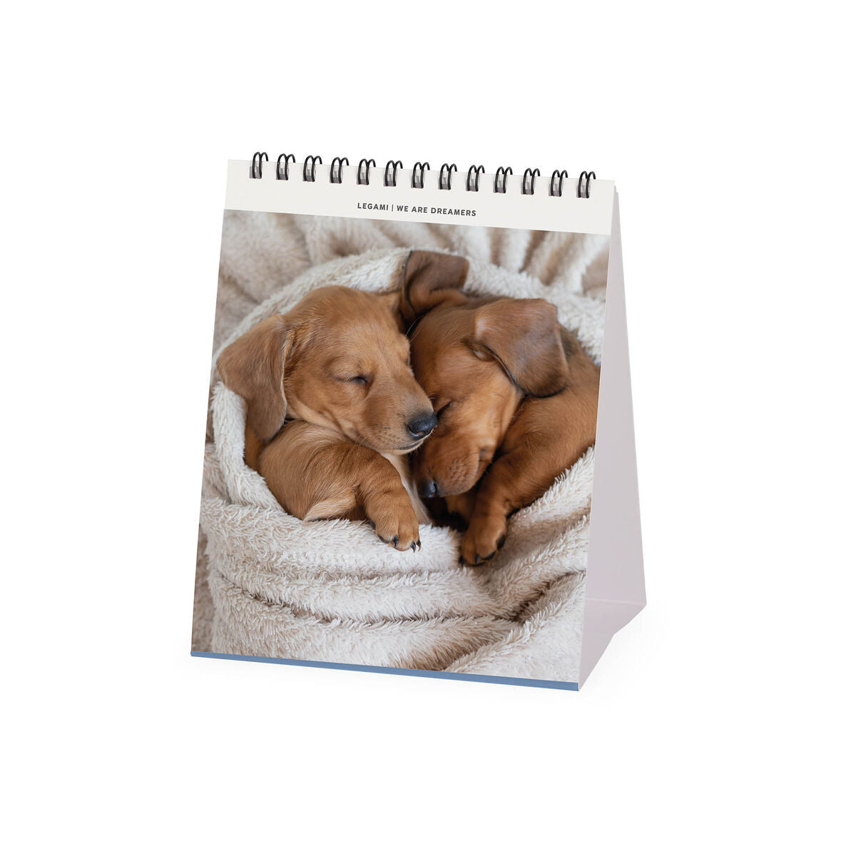 Calendario de Escritorio Legami - Perritos 2027 - 12 x 14,5 cm