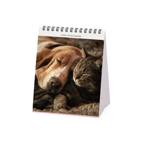 Legami - Calendario de escritorio Best Amigas 2027 - 12 x 14,5 cm