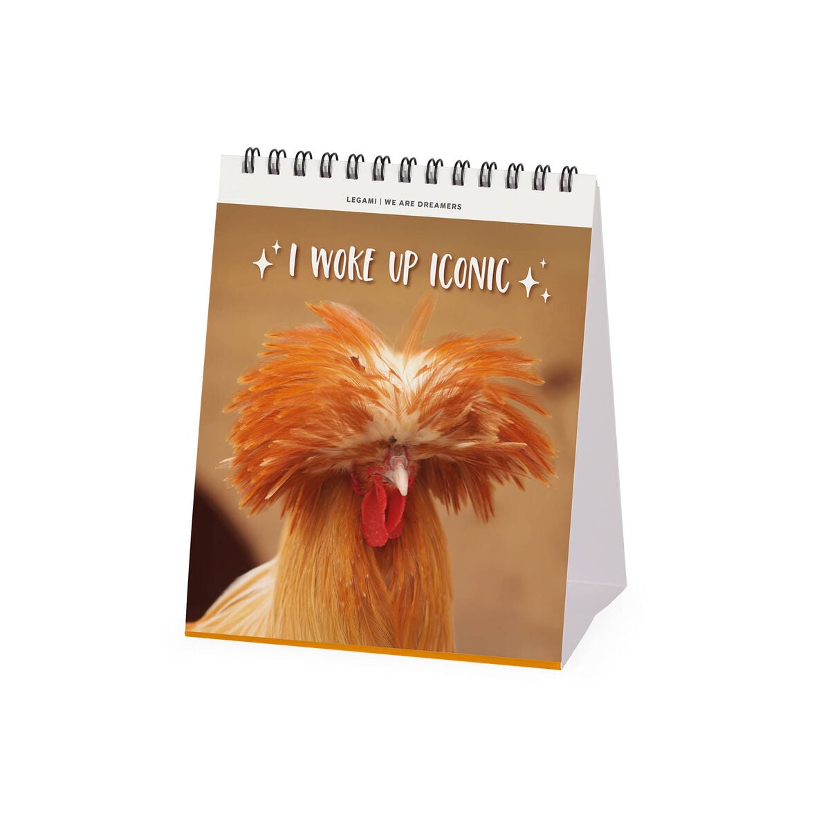 Legami - Calendario de escritorio Take It Easy 2027 - 12 x 14,5 cm