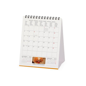 Legami - Calendario de escritorio Take It Easy 2027 - 12 x 14,5 cm