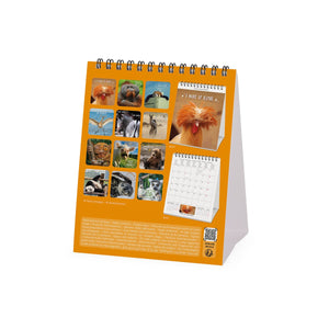 Legami - Calendario de escritorio Take It Easy 2027 - 12 x 14,5 cm