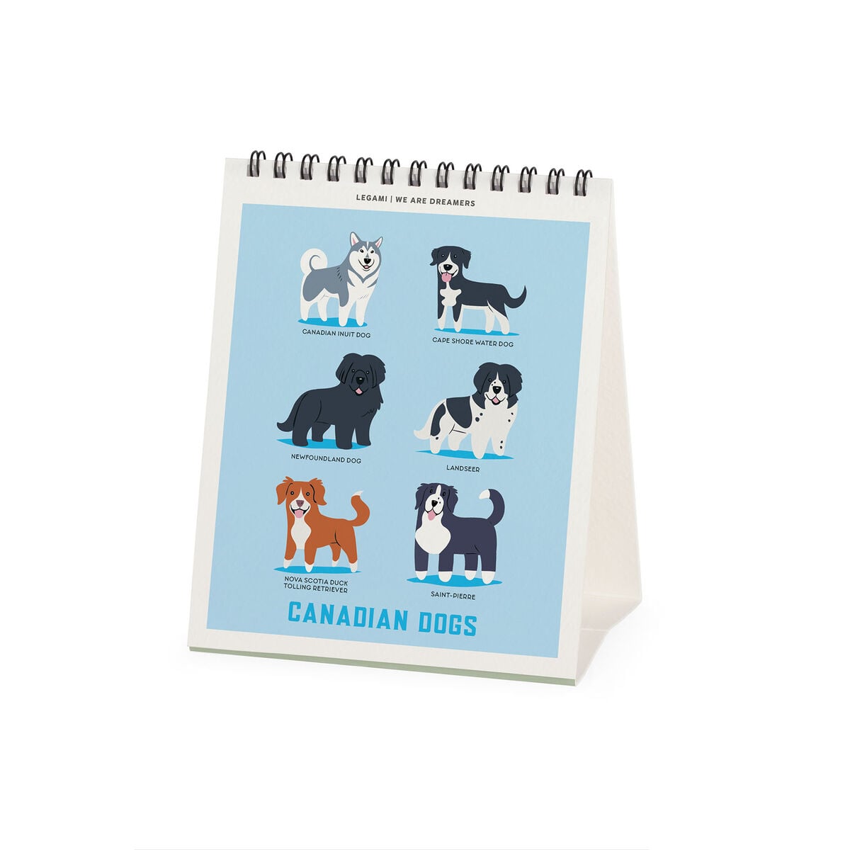 Legami - Calendario de mesa Dogs World 2027 - 12 x 14,5 cm