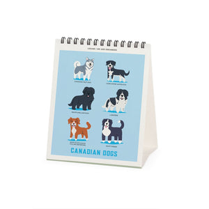 Legami - Calendario de mesa Dogs World 2027 - 12 x 14,5 cm