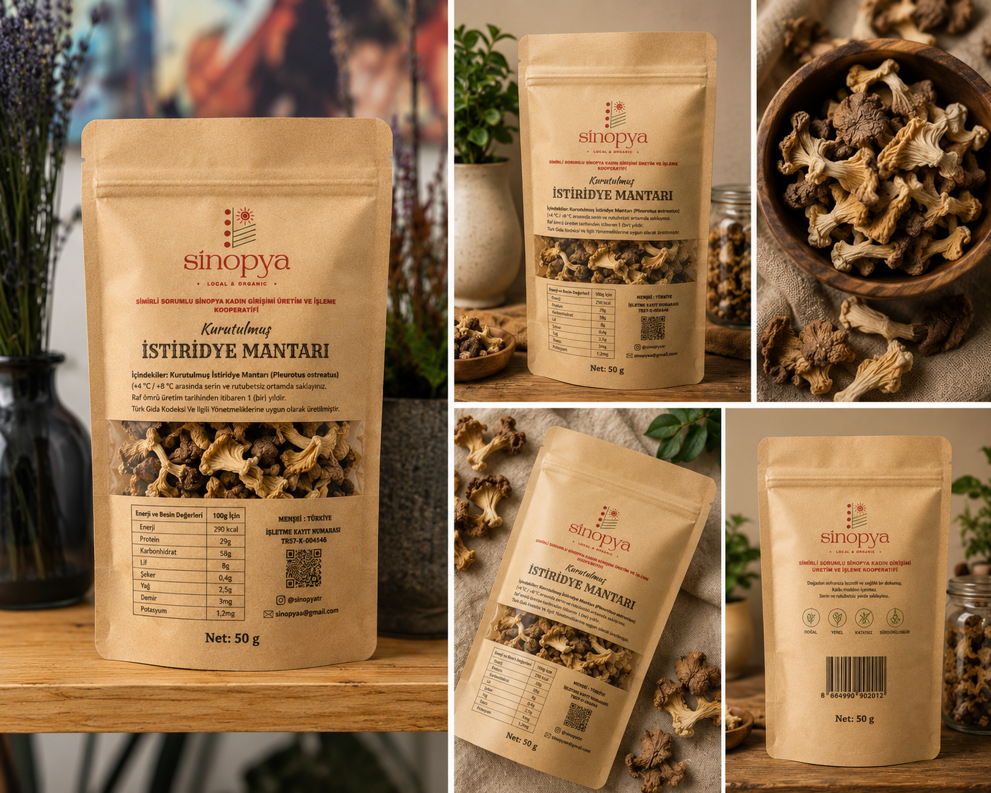 Sinopya - Seta ostra deshidratada 50 g