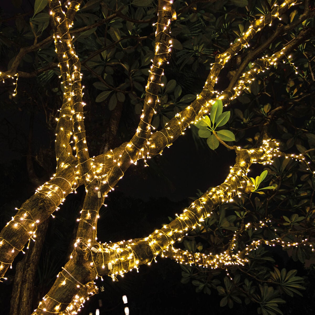 Legami - Guirnalda de luces para interior y exterior