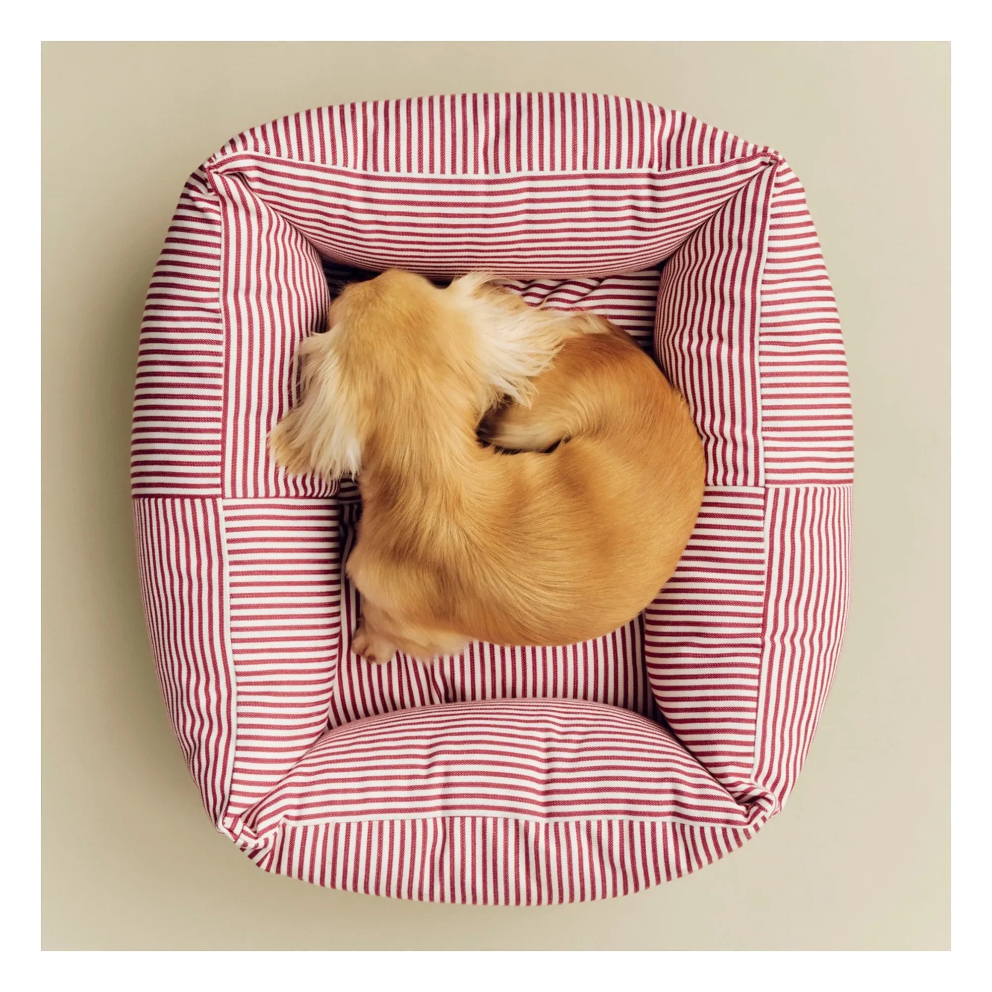 Hey - Cama para perro a rayas | Rojo