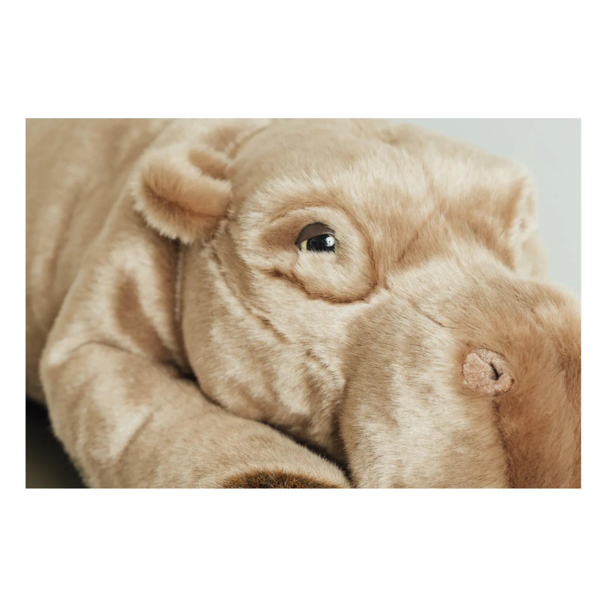 La Pelucherie - Peluche de hipopótamo Edgar | Gris oscuro