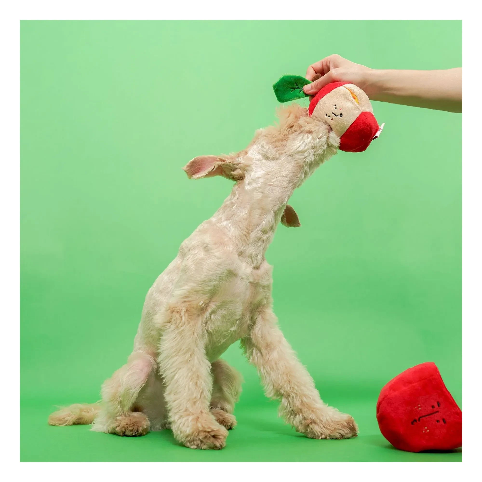 The Furry Folks - Juguete rascador con forma de manzana | Rojo