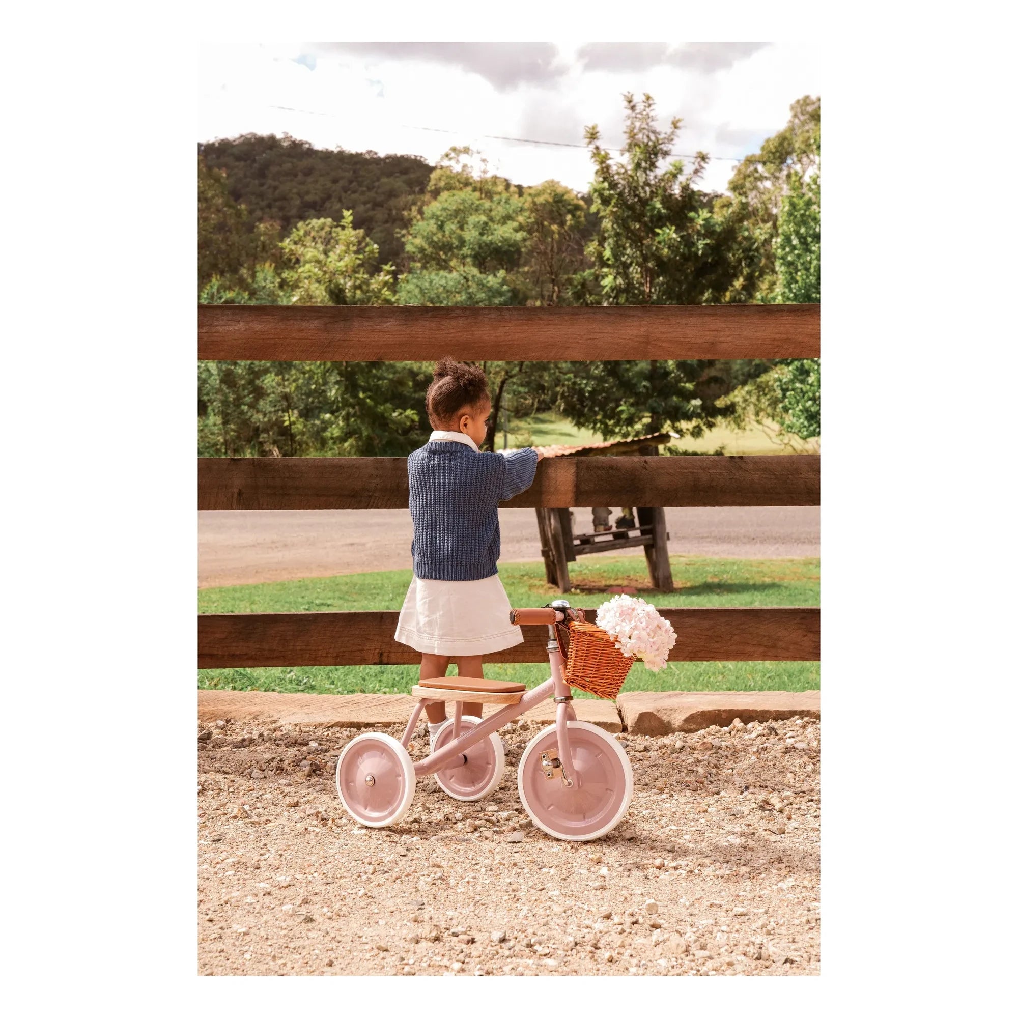 Banwood - Triciclo de metal y madera | Rosa Palo