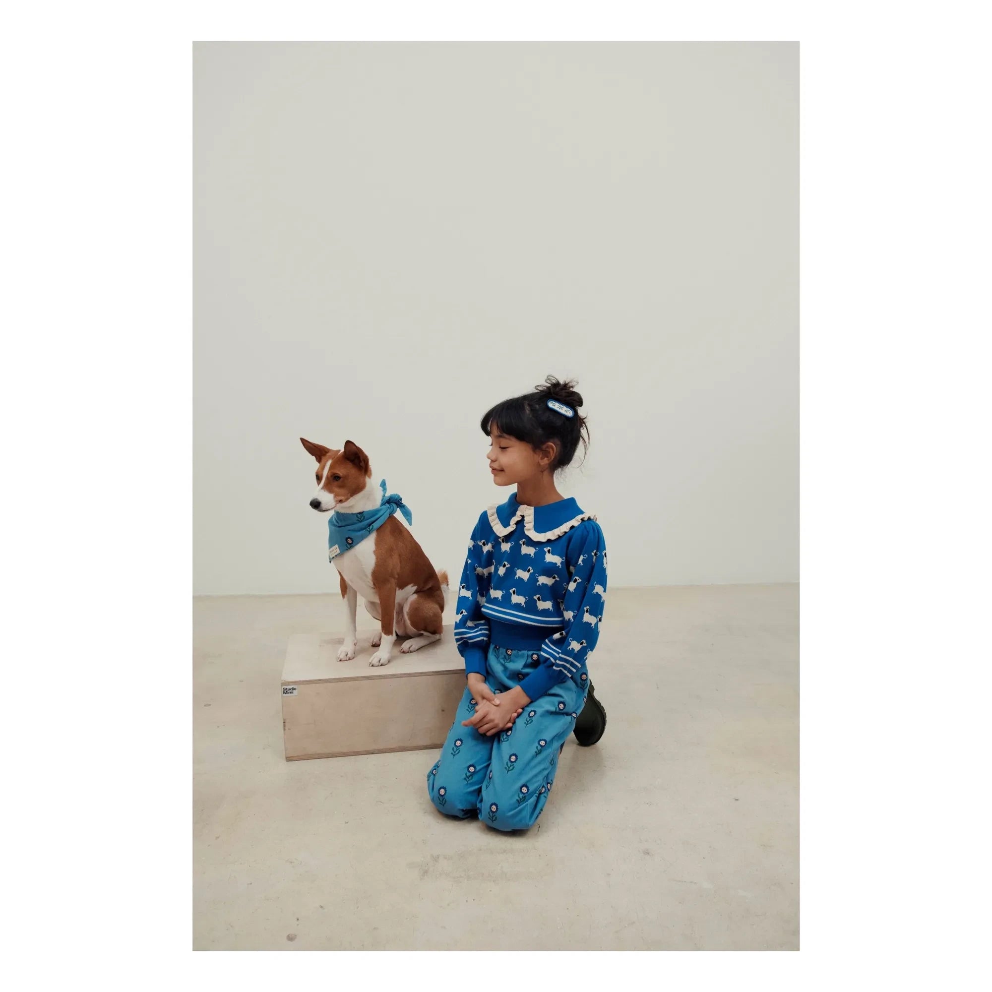 Emile et Ida - Jersey de perro azul royal