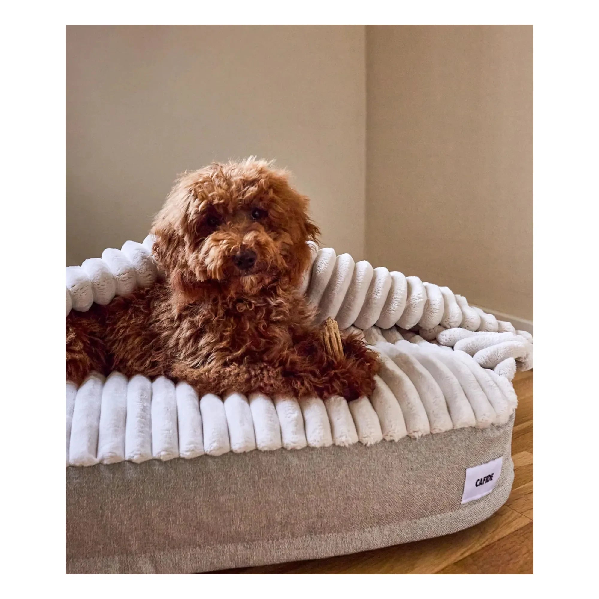 Cafide - Cama para perros Maso | Beige