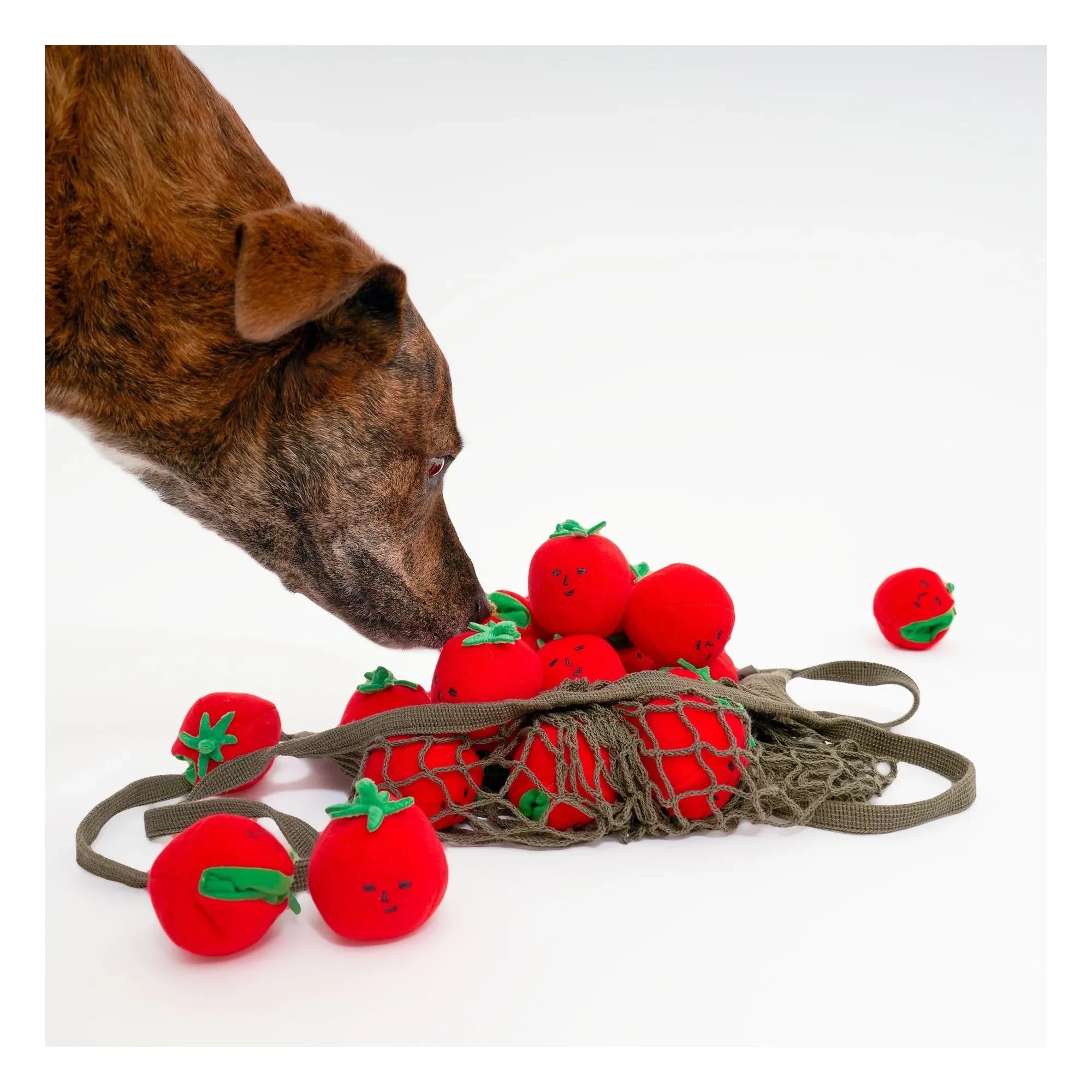 The Furry Folks - Juguete rascador Tomate Cereza | Rojo Tomate