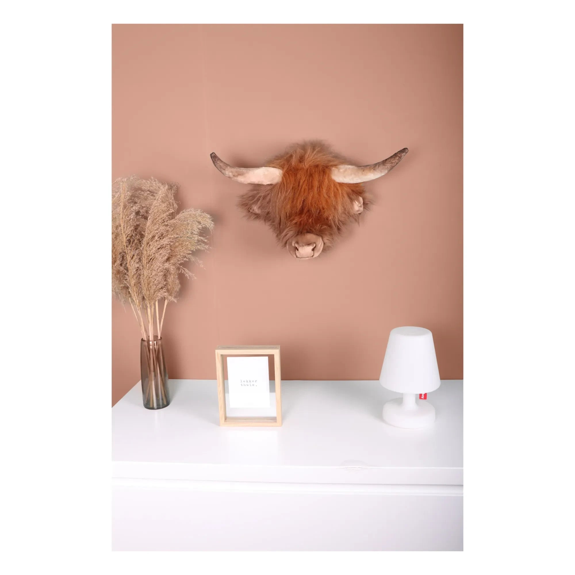 Wild & Soft - Vaca escocesa
