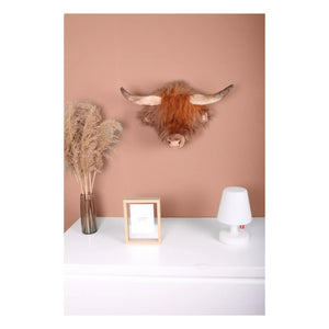Wild & Soft - Vaca escocesa