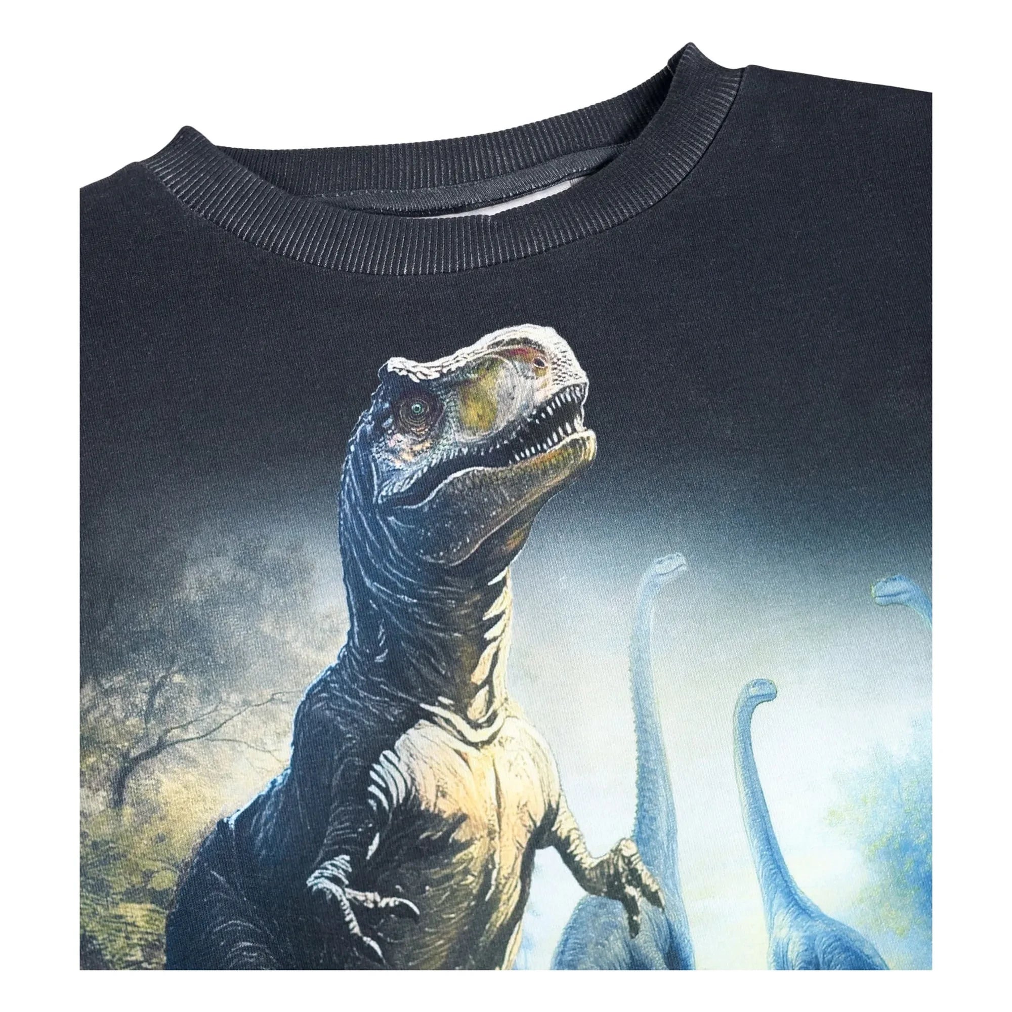 Molo - Mattis Dinosaurs Organik Pamuklu Kazak | Siyah