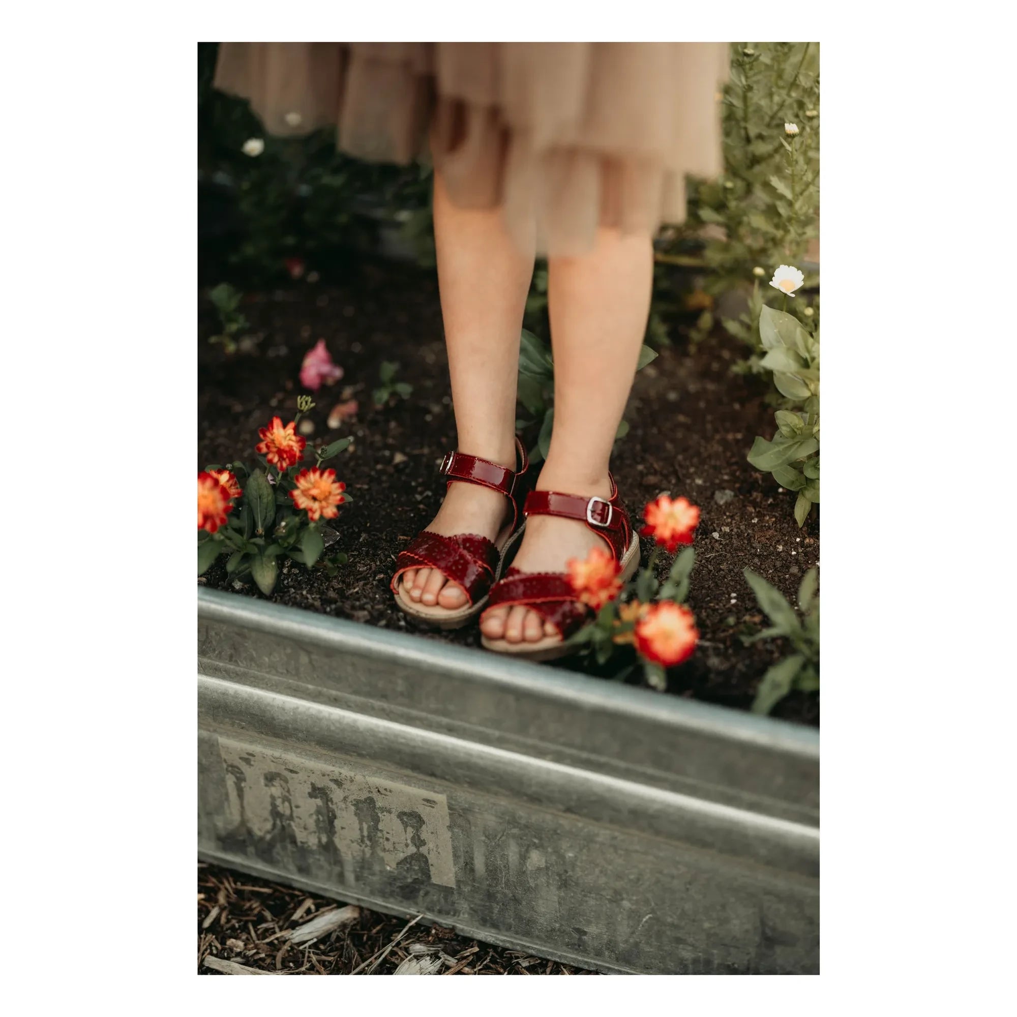 Petit Nord - Sandalias Scallop Flower | Rojo cereza