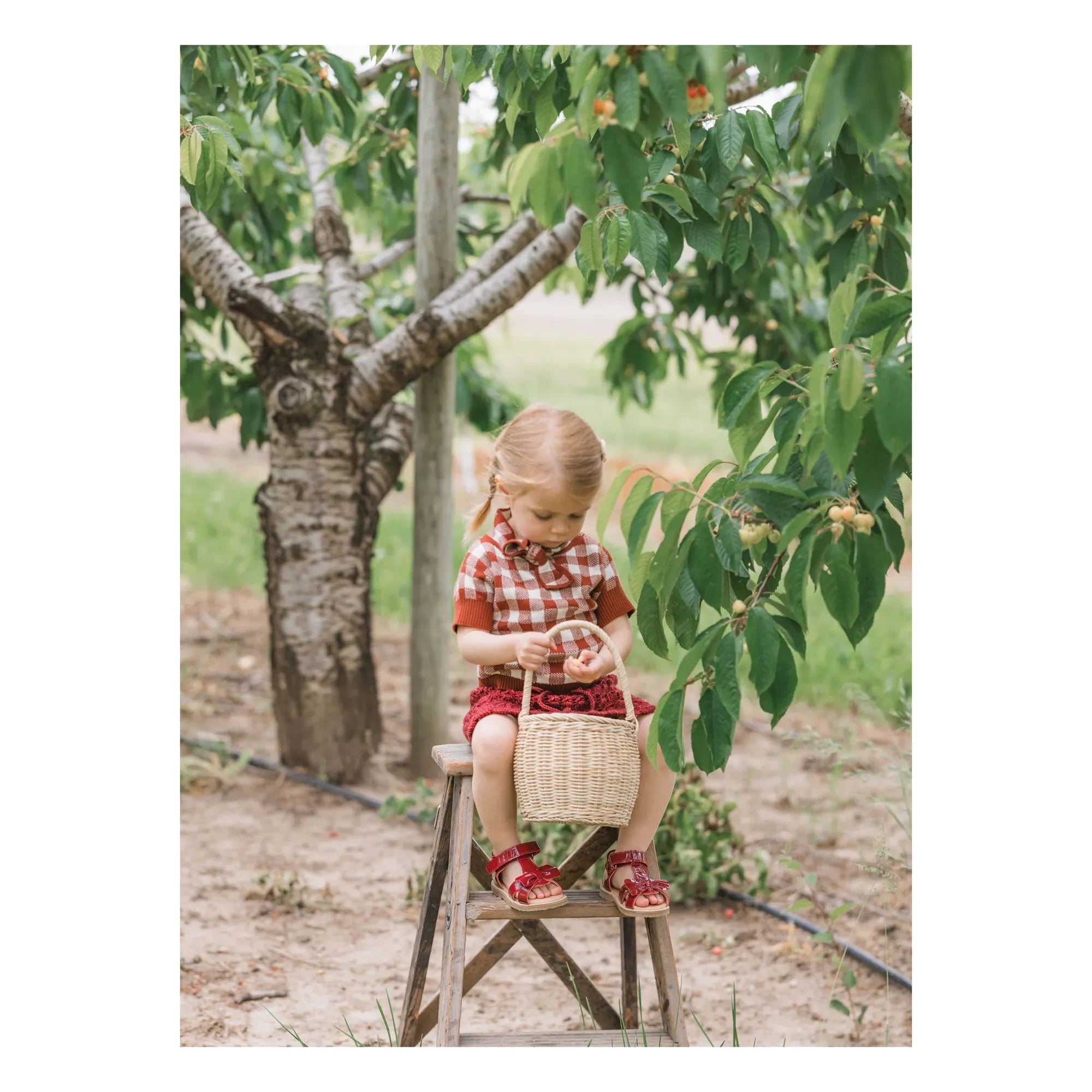 Petit Nord - Sandalia Gry | Rojo cereza