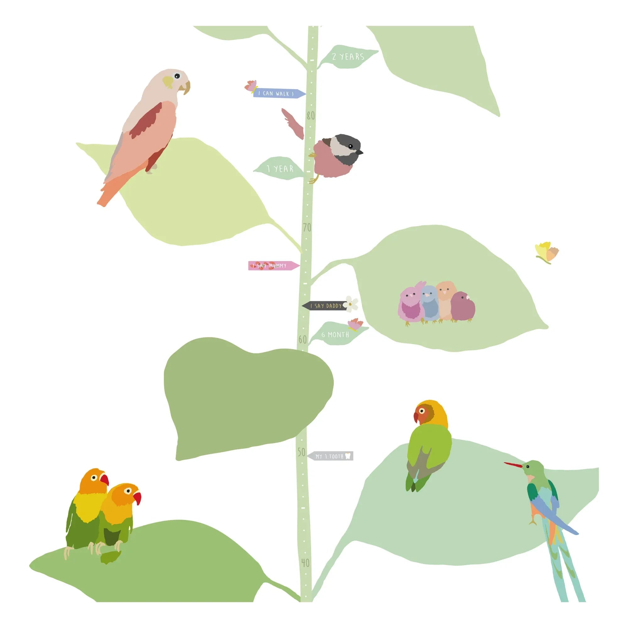 MIMI'lou - With The Birds Boy Tabla de Tallas - ES