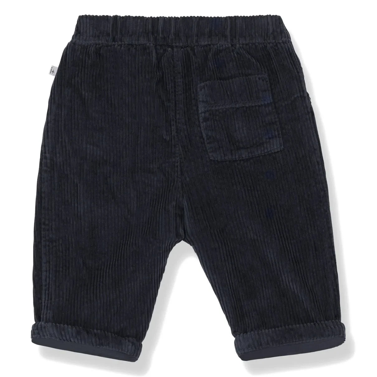 1+ in the family - Quebec Fitilli Kadife Pantolon | Koyu Mavi