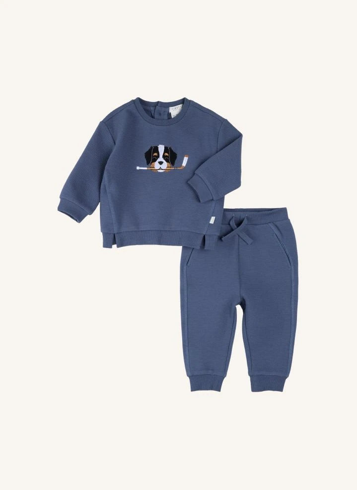 Petit Lem - Conjunto de sudadera y jogger de algodón orgánico para perro | Azul