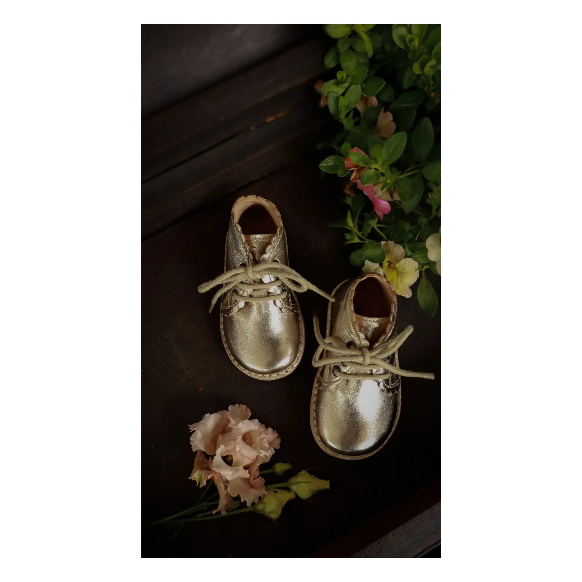 Petit Nord - Botas de encaje con conchas marinas | Plata