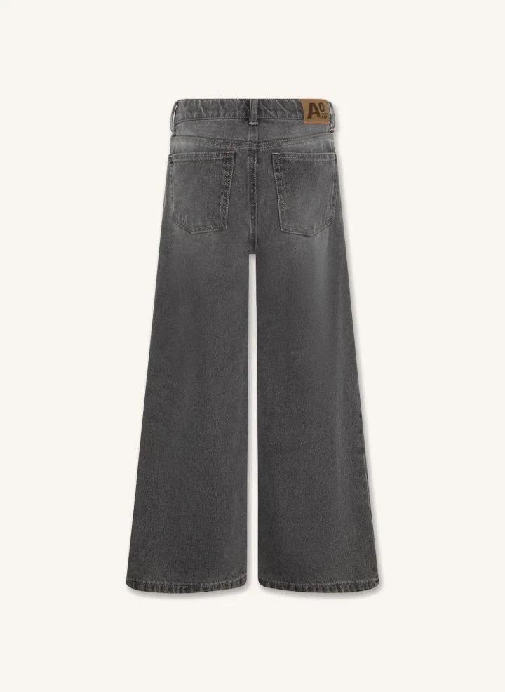 AO76 - Jean Zina Blake | Denim gris
