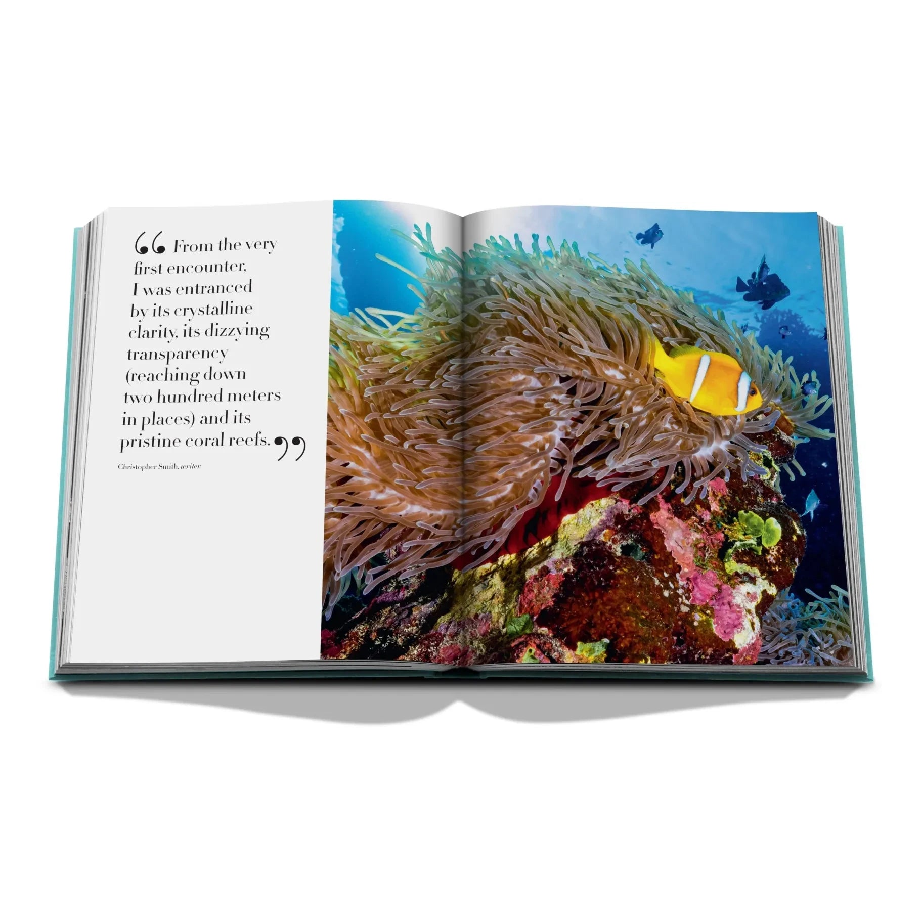 Assouline - Mar Rojo: La costa de Arabia Saudita