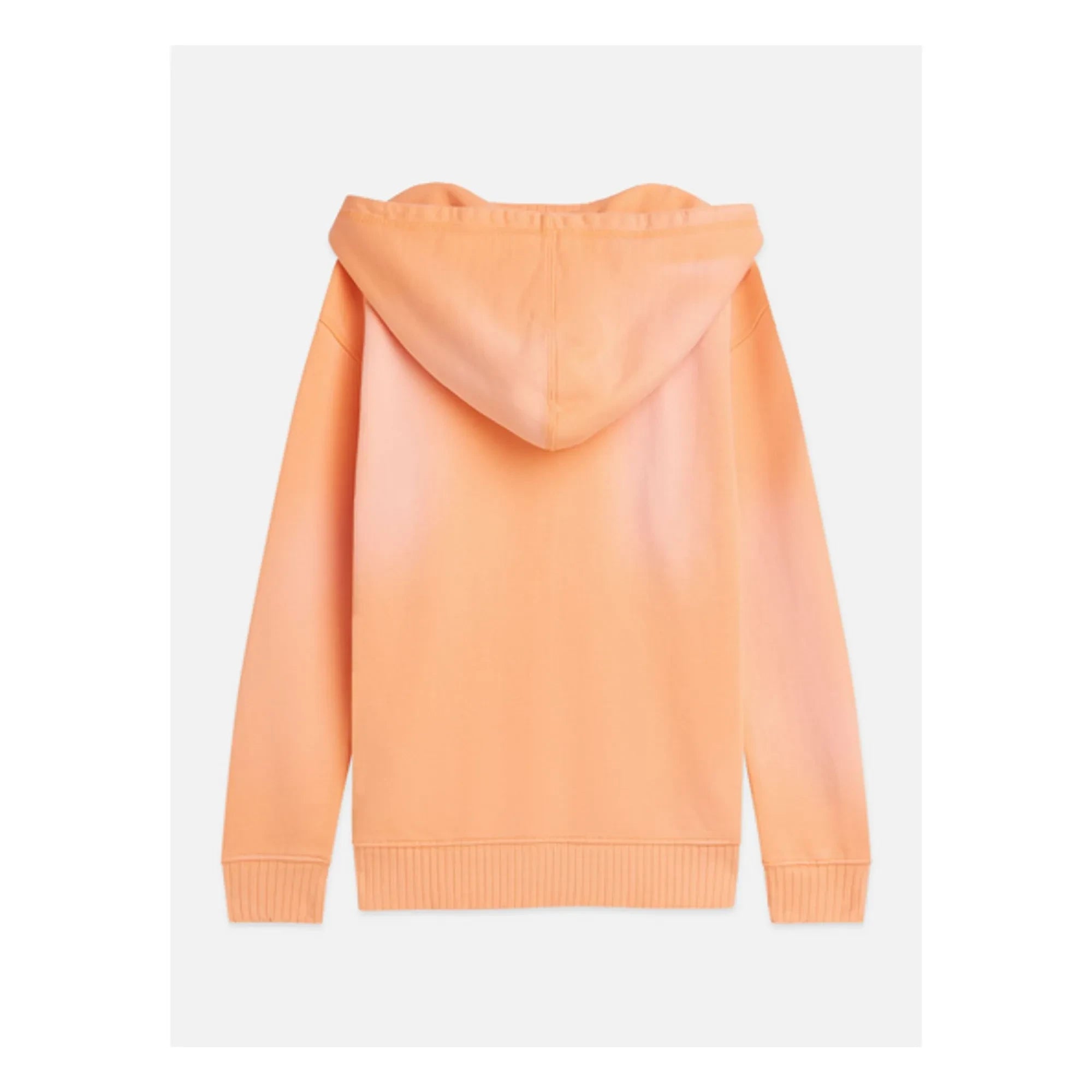 Scotch & Soda - Sudadera con Capucha Artwork Mystery | Coral
