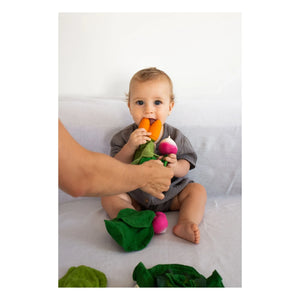 Oli & Carol - Juguete mordedor Cathy la zanahoria