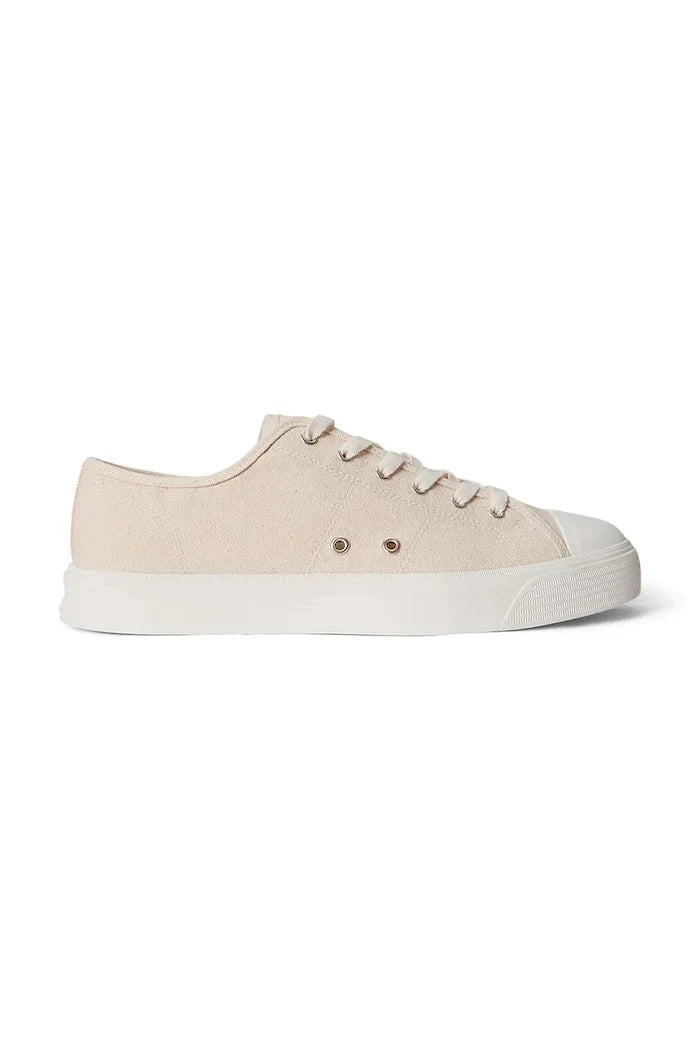 Polo Ralph Lauren Ayers Low - Zapatillas bajas de algodón para hombre