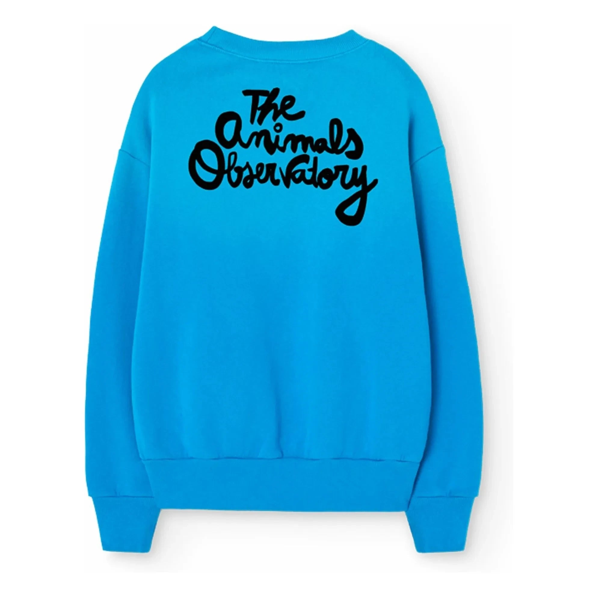 The Animals Observatory - Sweat Bear Anchor | Azul Celeste