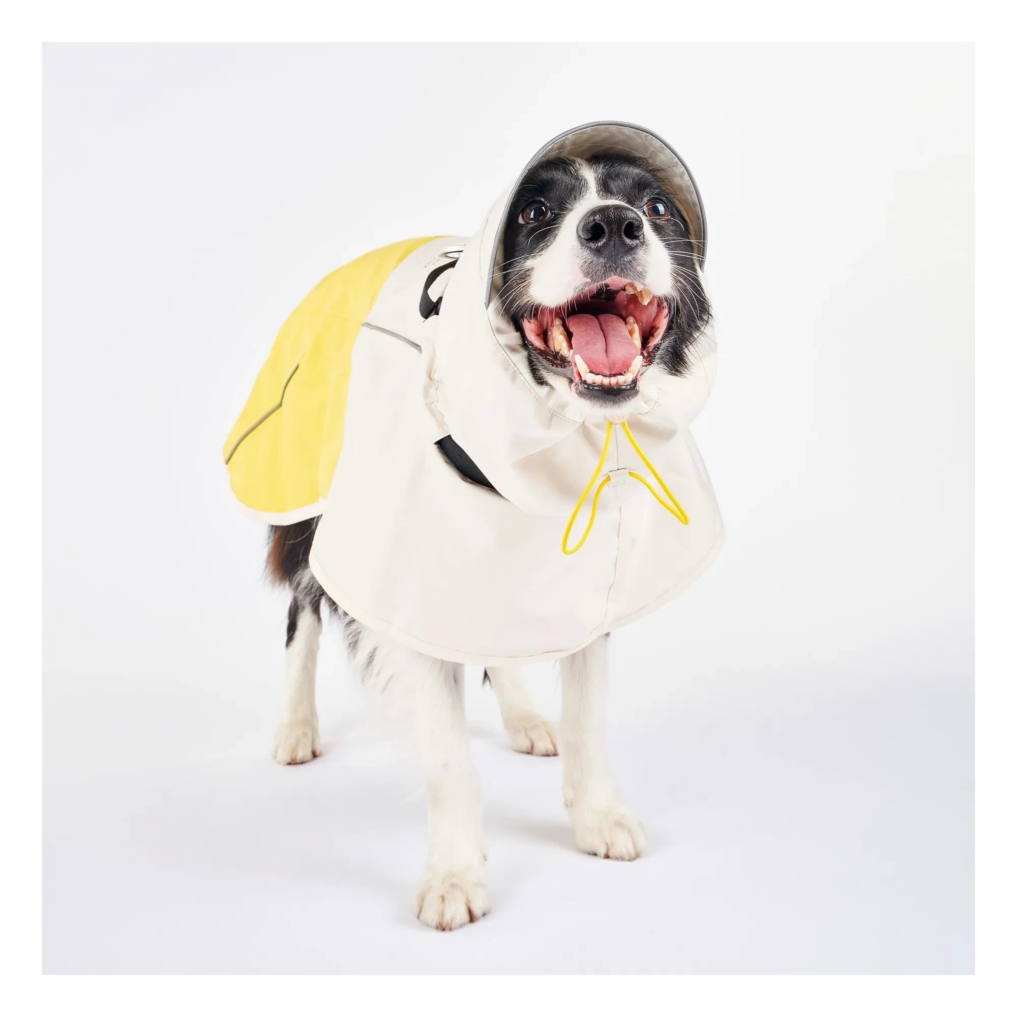 The Furry Folks - Impermeable Venture | Amarillo