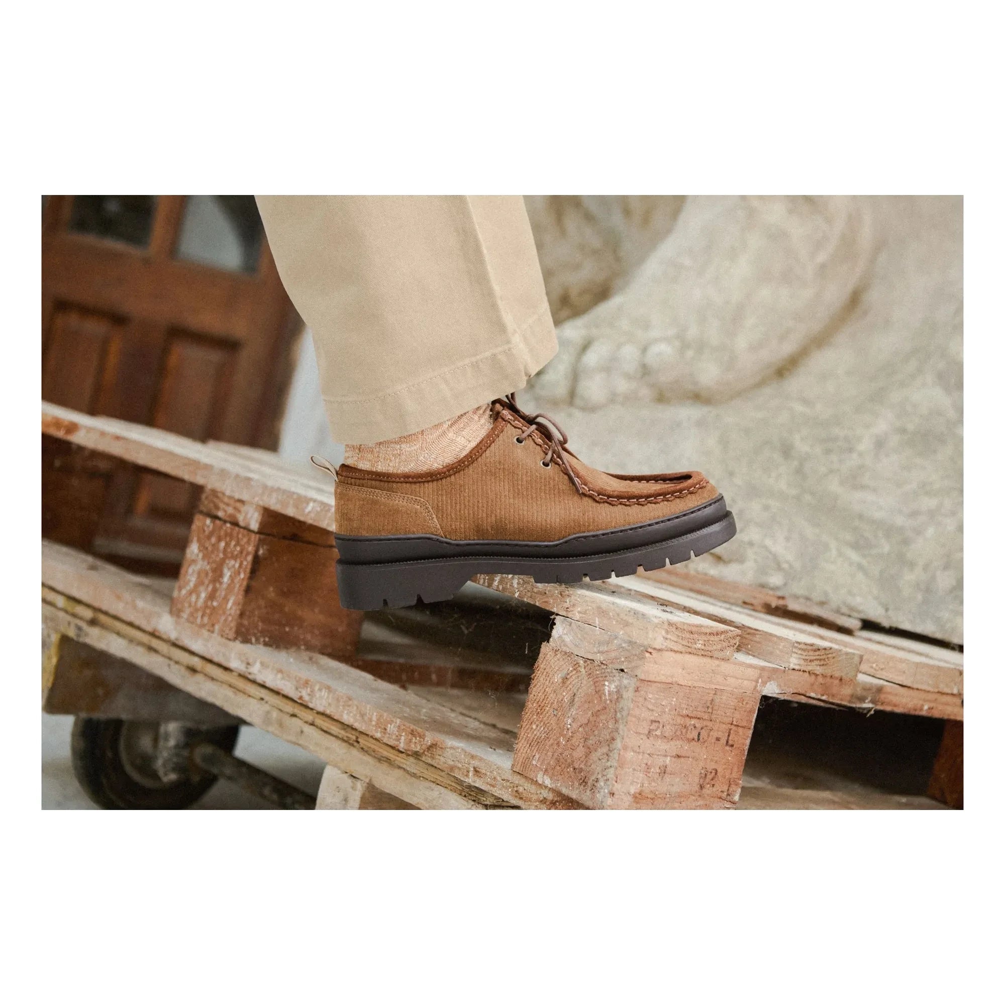 Kleman - Zapatos Derby Major VP OAK 2 Velours | Marrón