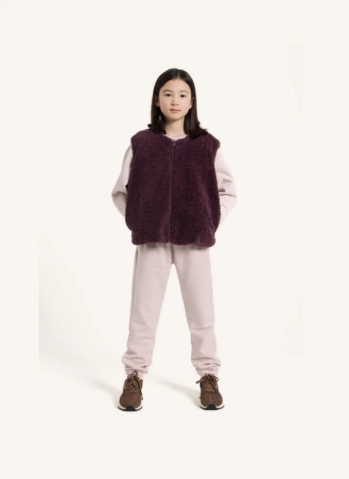 Smallable Kid - Jude Chaqueta Sherpa sin mangas | Morado