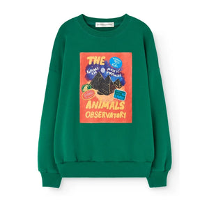 The Animals Observatory - Killifish sweatshirt | Verde