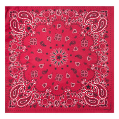 Llámalo por tu nombre - Pañuelo Pequeño de Seda | Rojo